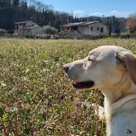 Borgo Da Vinci Casa di campagna